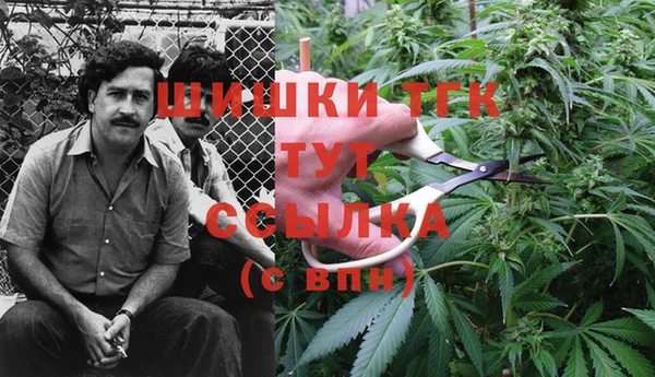 дживик Арсеньев
