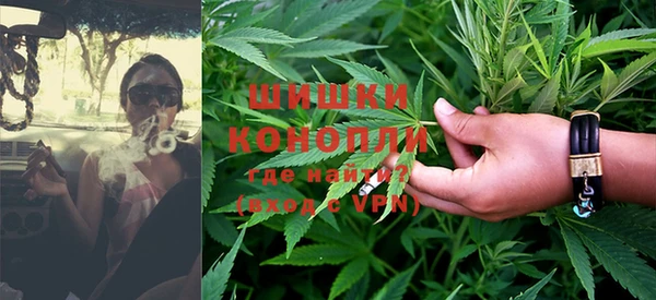 дживик Арсеньев