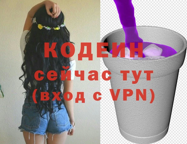 дживик Арсеньев