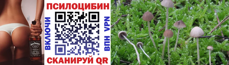 Псилоцибиновые грибы Magic Shrooms Чаплыгин